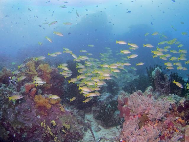 Nomad Divers Bangka Likupang Exterior foto